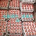 高温灰色品种‘伏99’，任何食用菌研究所没有这个品种