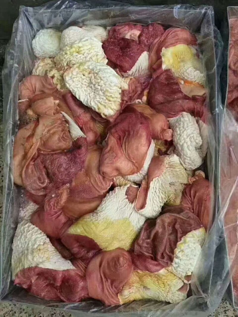 驴肉请选购优质驴肉马肉板肠下水等