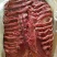 驴请选购优质驴肉板肠马肉板肠下水