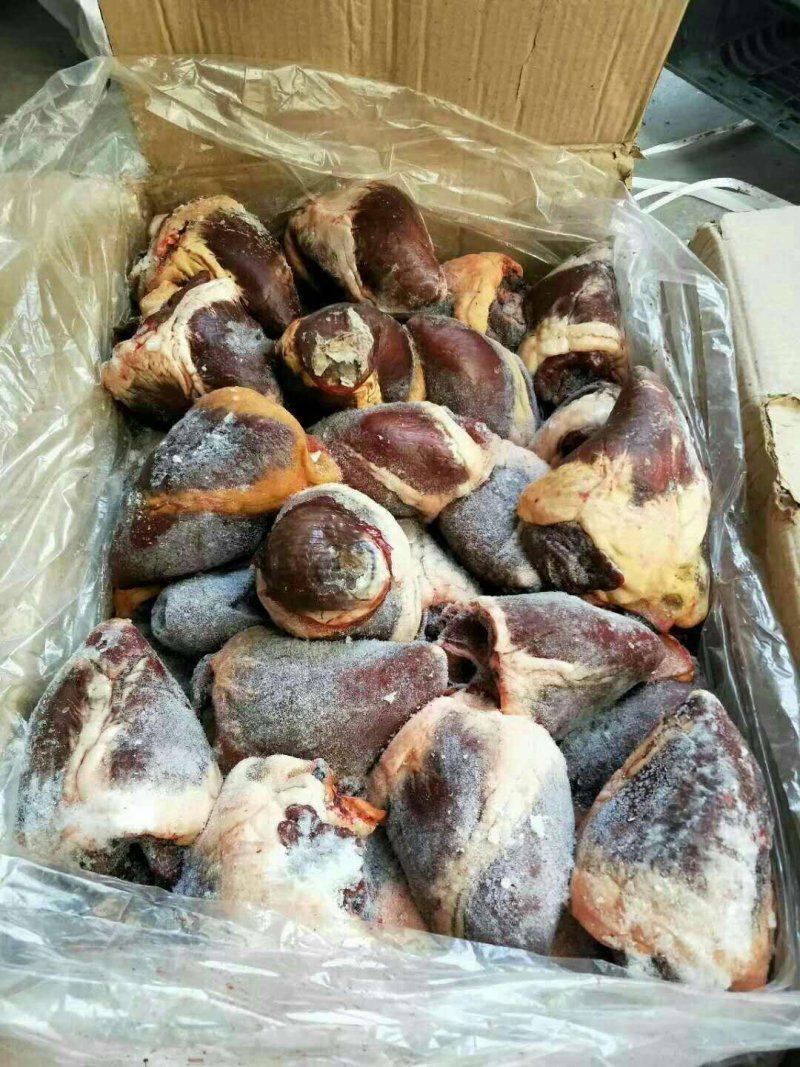 驴请选购优质驴肉板肠马肉板肠下水