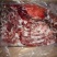 驴肉请选购优质驴肉马肉板肠下水