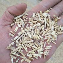 白茅根米，新货，货干，质量好，一手货源。
