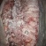 马肉请选购优质驴肉马肉板肠下水