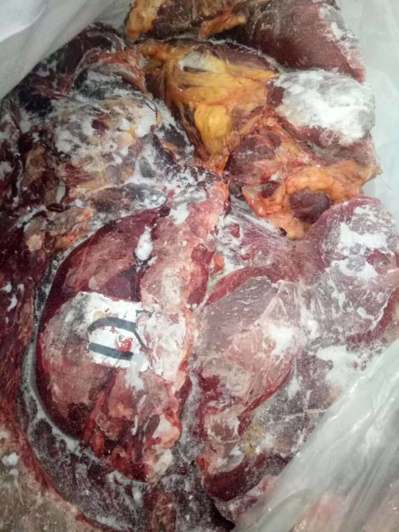 马肉请选购优质驴肉马肉板肠下水