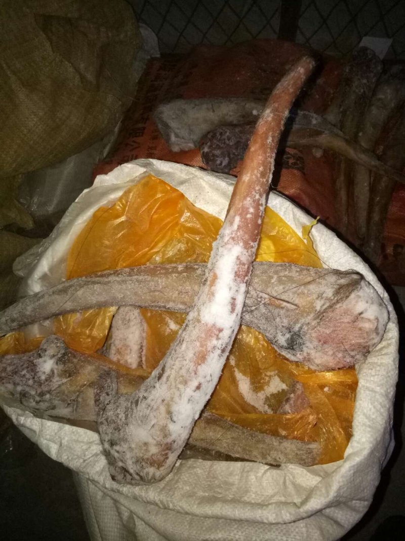 驴肉请选购优质驴肉板肠下水等