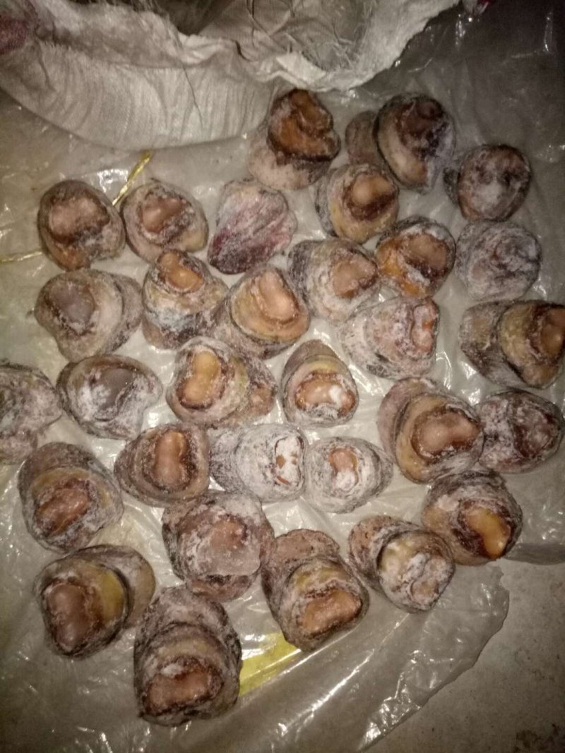 驴肉请选购优质驴肉板肠下水等