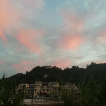 毛马蹄