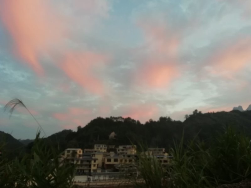 毛马蹄