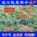 菊苣种子质量有保证假一赔十