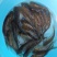 斑点鳙鱼