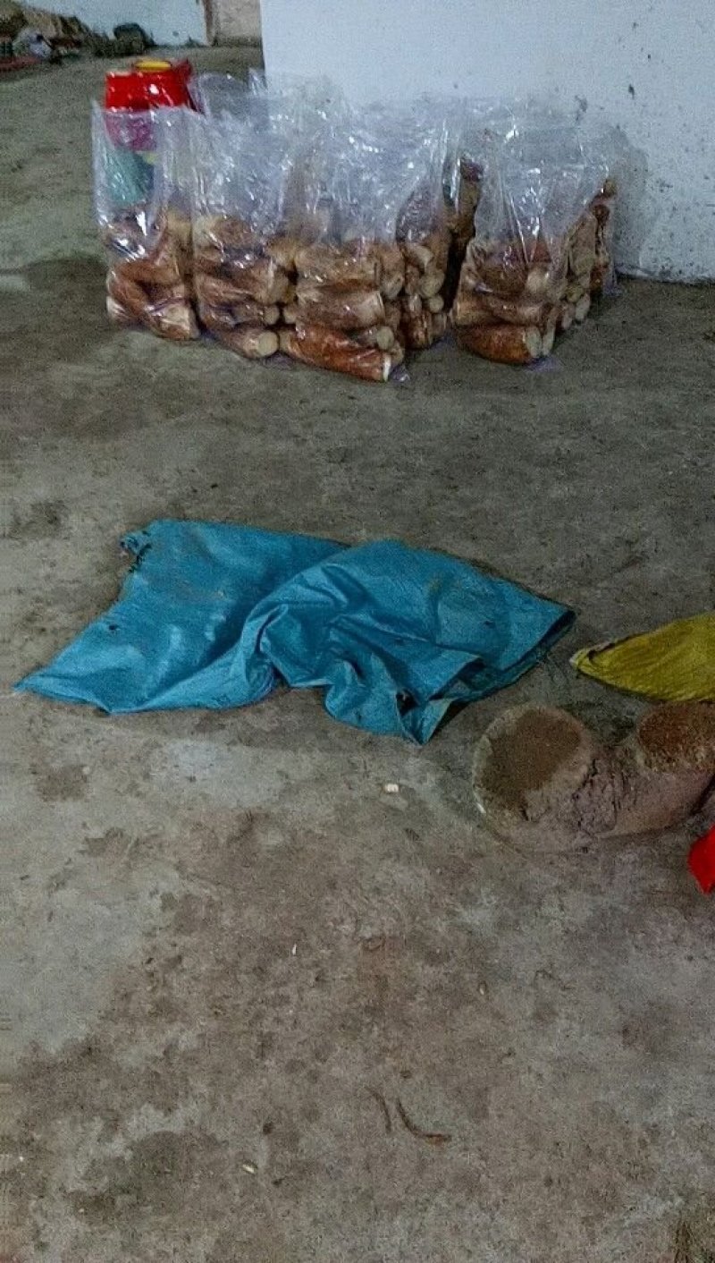 江西上饶铅山林氏新鲜冬笋大量有货每天现挖下山笋