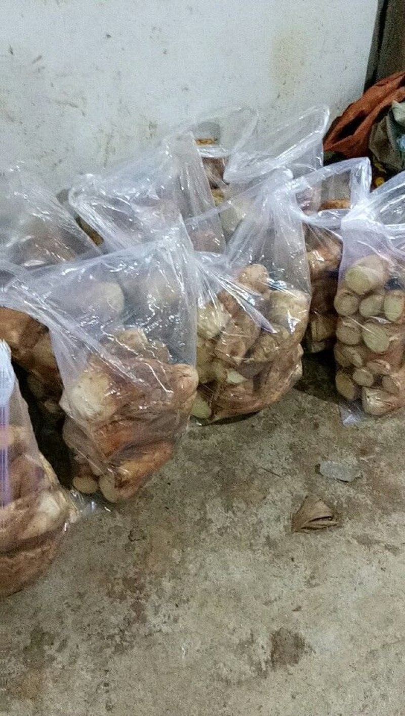 江西上饶铅山林氏新鲜冬笋大量有货每天现挖下山笋