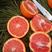 中华红血橙口感纯甜水分足产地一手货源果园看货订货保质保量