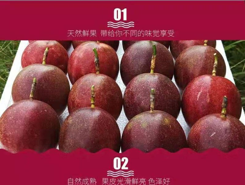 赣南百香果产地直发，支持一件代发，橙招代理