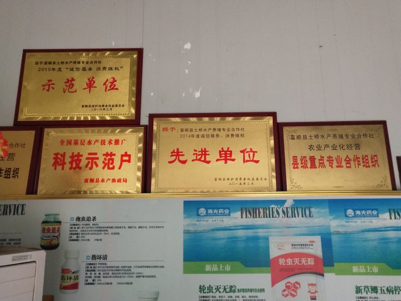 【花骨鱼鱼苗】花骨鱼苗大小规格齐全送货上门