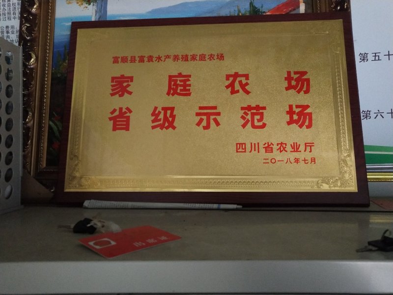 【花骨鱼鱼苗】花骨鱼苗大小规格齐全送货上门