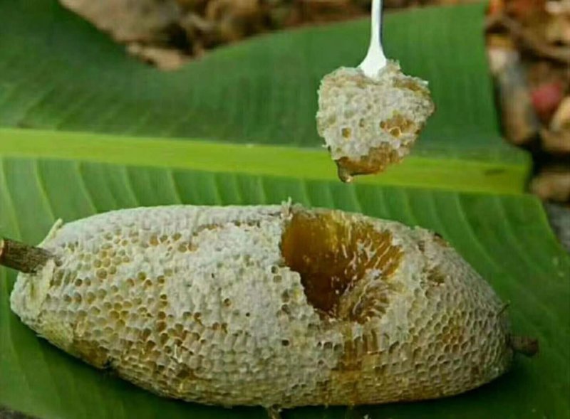 蜂蜜，树挂蜜