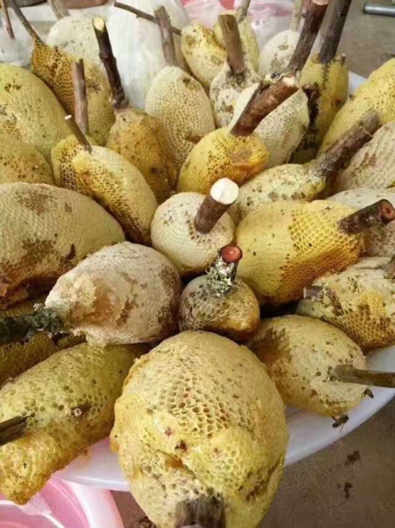 蜂蜜，树挂蜜