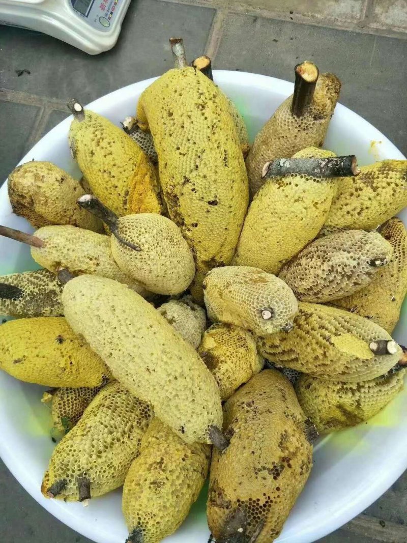 蜂蜜，树挂蜜