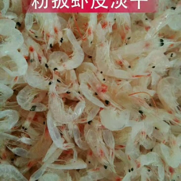 威海粉扳虾皮烘干