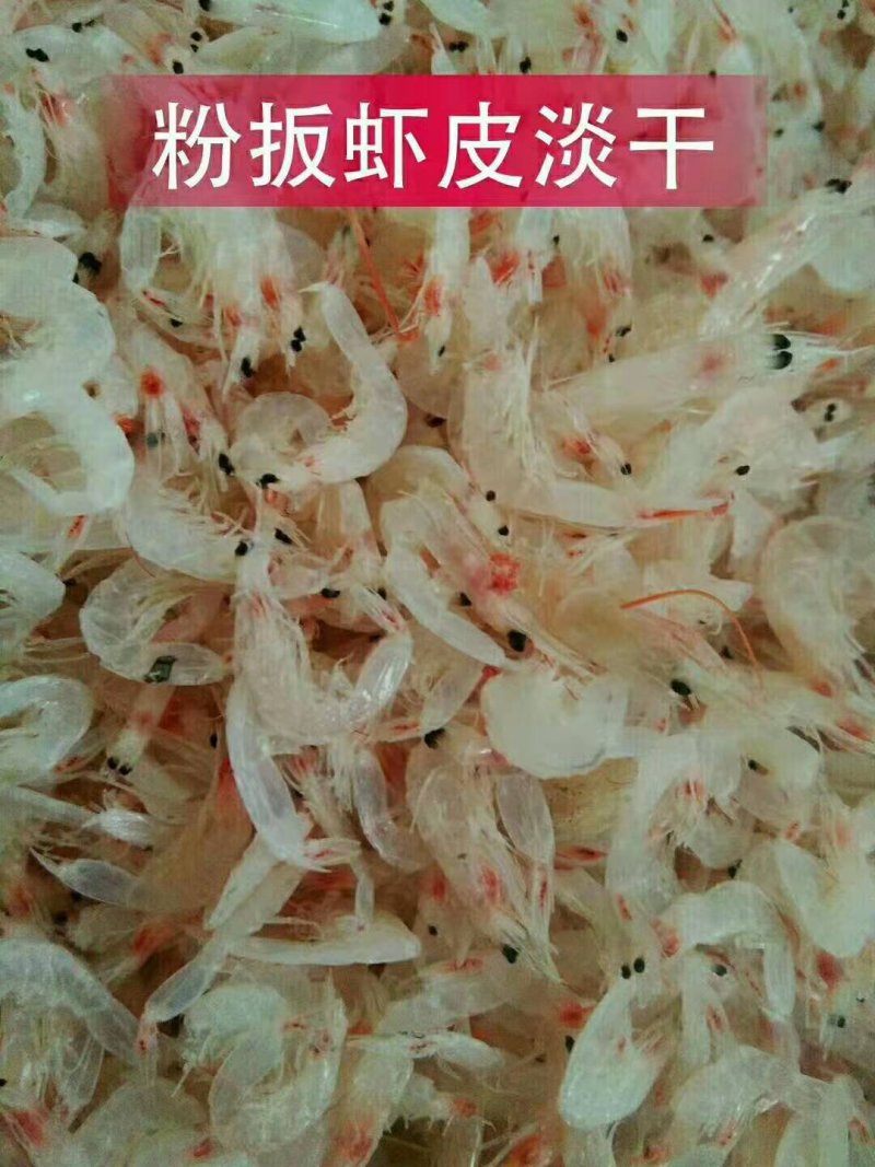 威海粉扳虾皮烘干