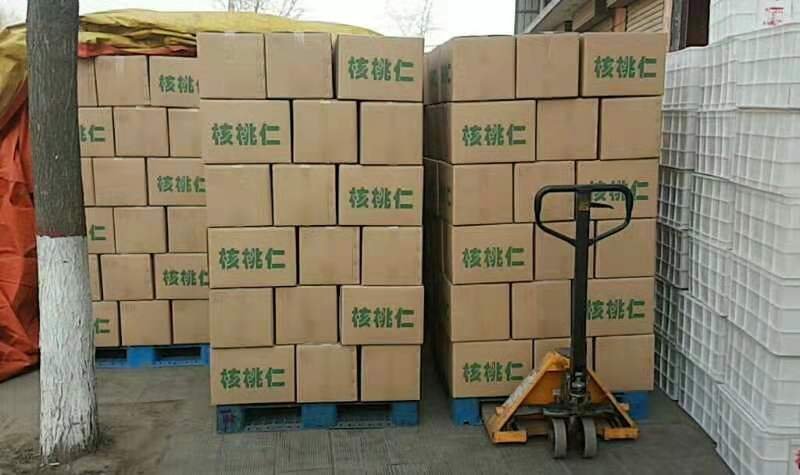 核桃仁2023年新品核桃仁二路25斤/箱