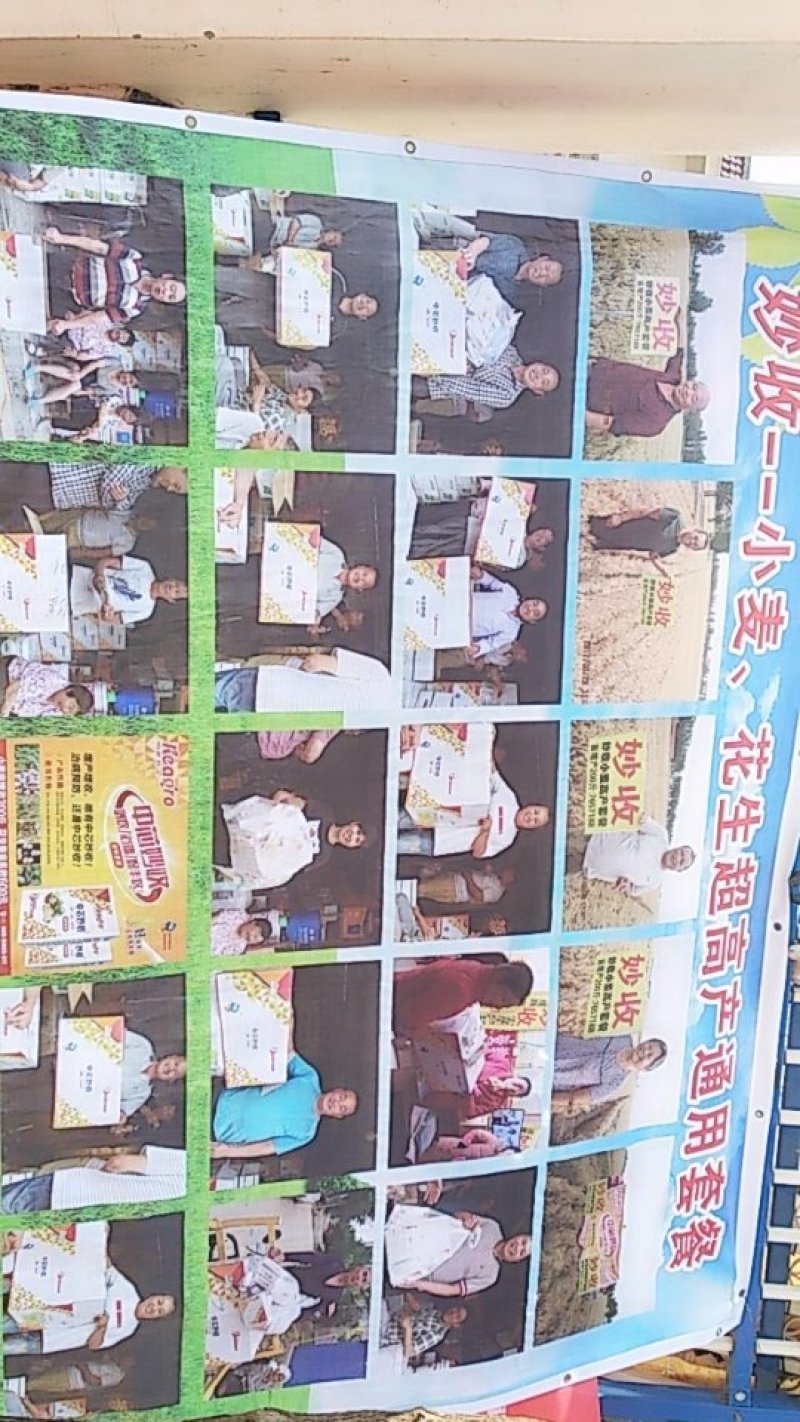 花育60，平均亩产1200斤，具有1500斤以上的高产潜