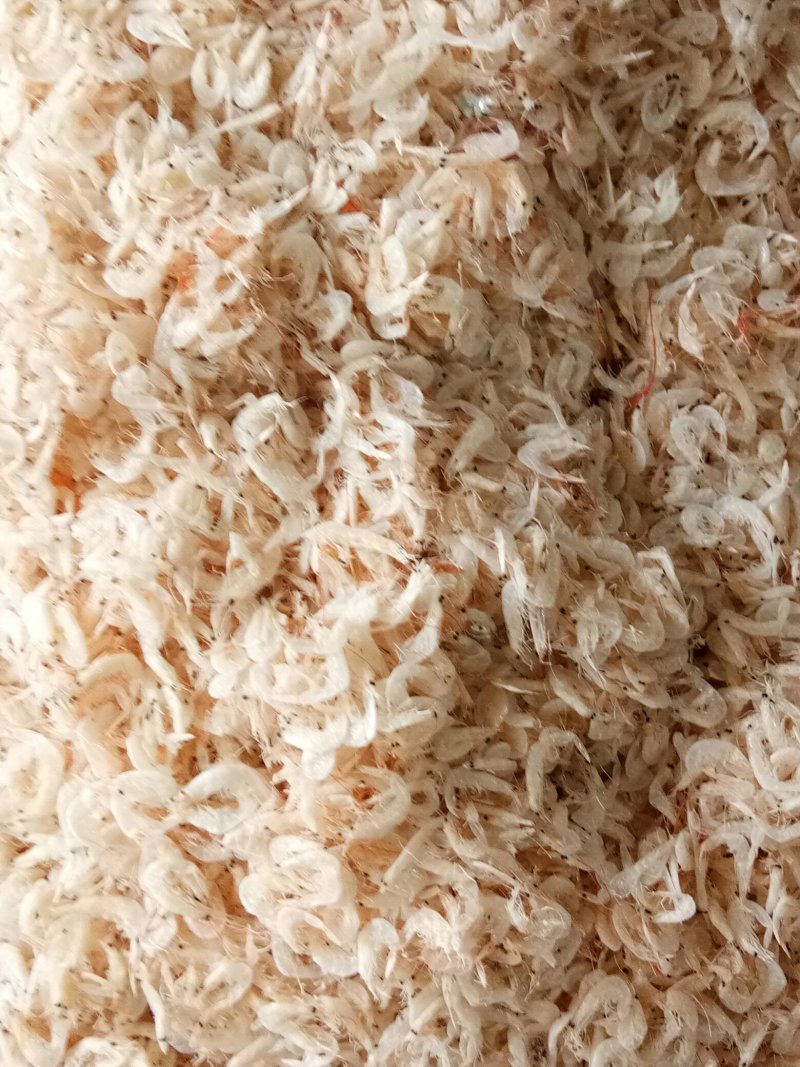 产地直销虾皮