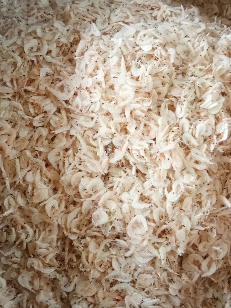 产地直销虾皮