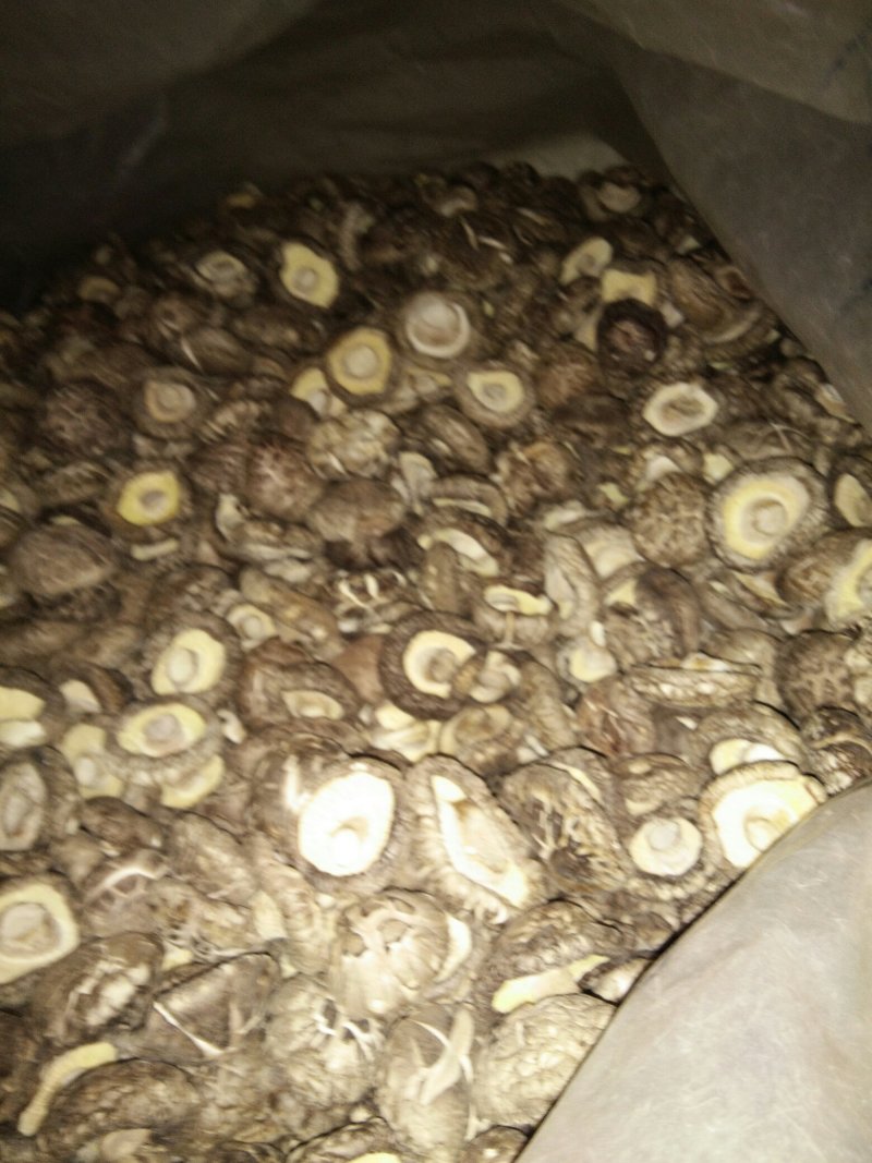 河南内乡花菇，茶花菇，干货农户自种，烘干型，香味扑鼻