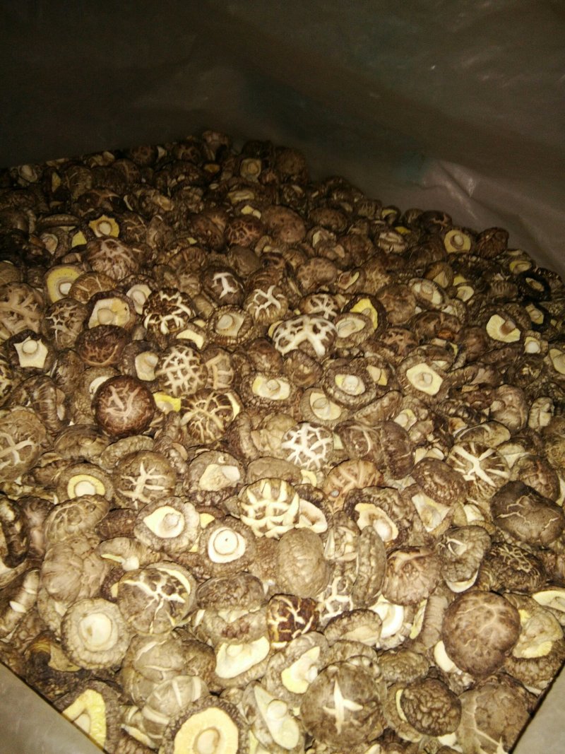 河南内乡花菇，茶花菇，干货农户自种，烘干型，香味扑鼻