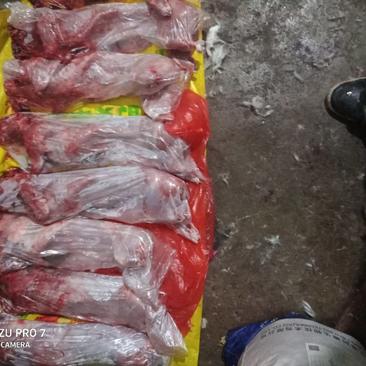 江苏省宜兴市，兔肉：冷冻冷鲜兔肉大到5斤左右小到3斤。