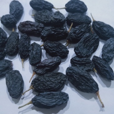 俄罗斯黑加仑可视频看货，支持线上保障交易