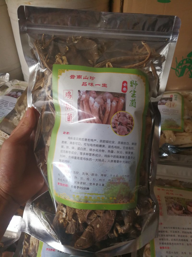 鸡枞菌