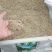高羊茅草籽进口耐践踏庭院护坡绿化草皮25斤/亩