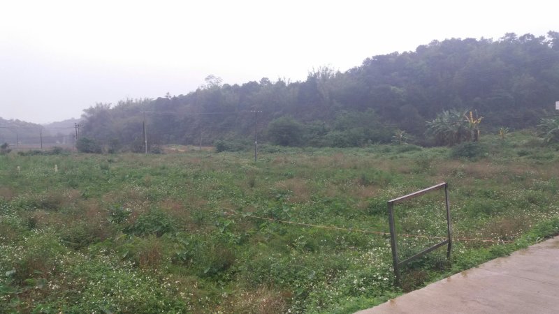 荒弃田地寻租