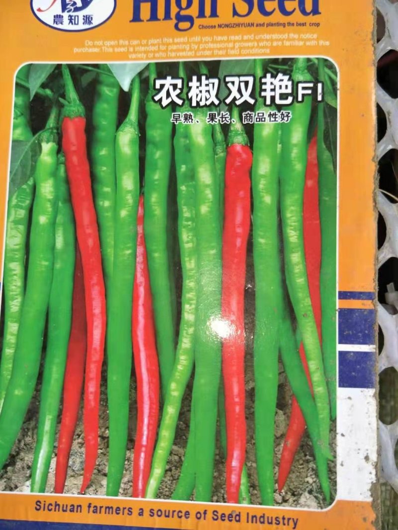 辣椒苗薄皮辣椒苗二荆条线椒各种辣椒苗苗场直供