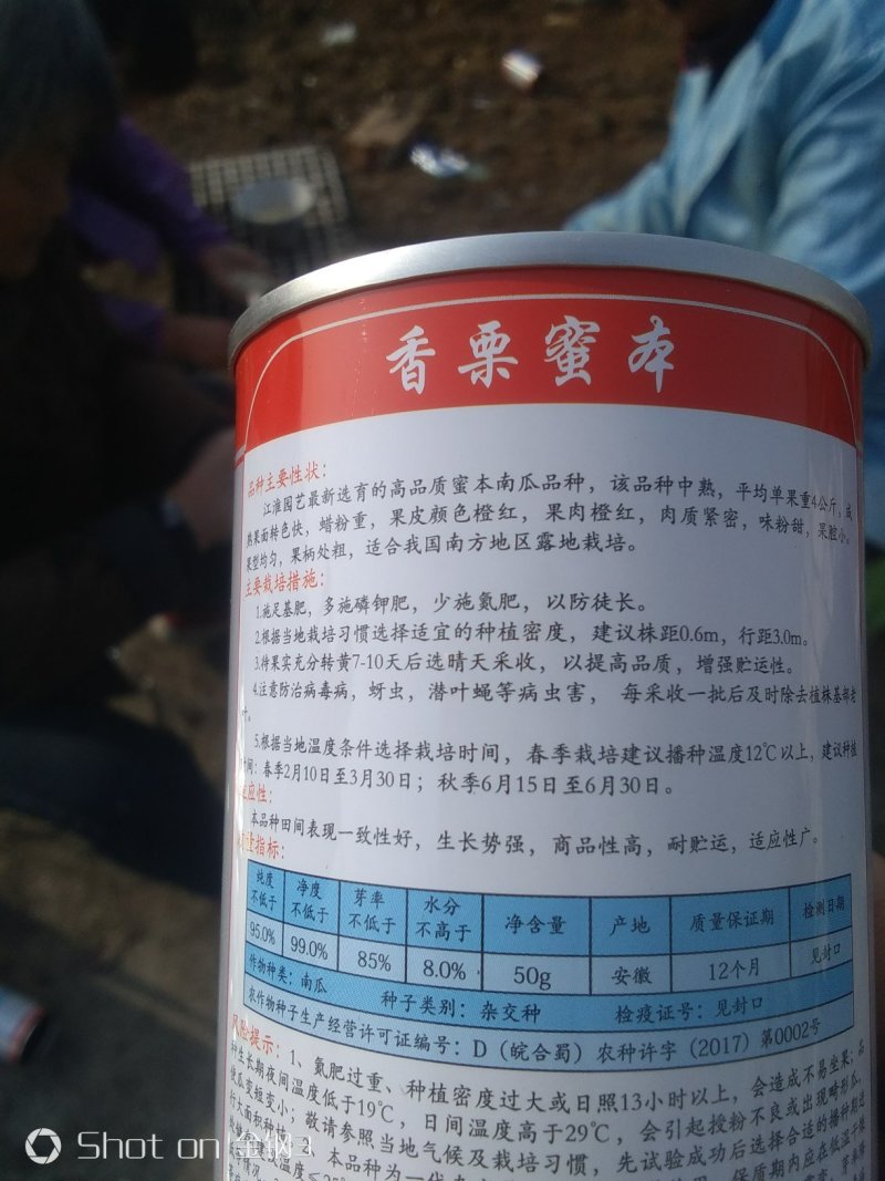 蜜本南瓜种子