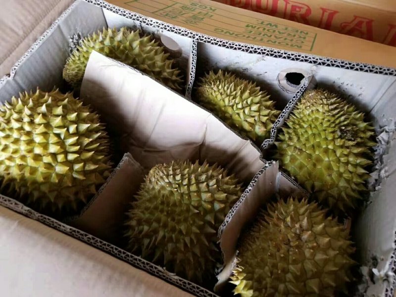 泰国金枕头榴莲一件代发无痕发货
