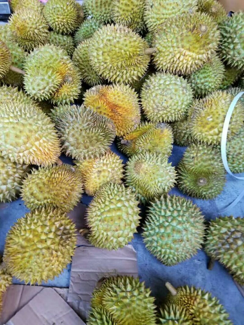 泰国金枕头榴莲一件代发无痕发货