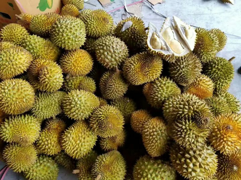 泰国金枕头榴莲一件代发无痕发货