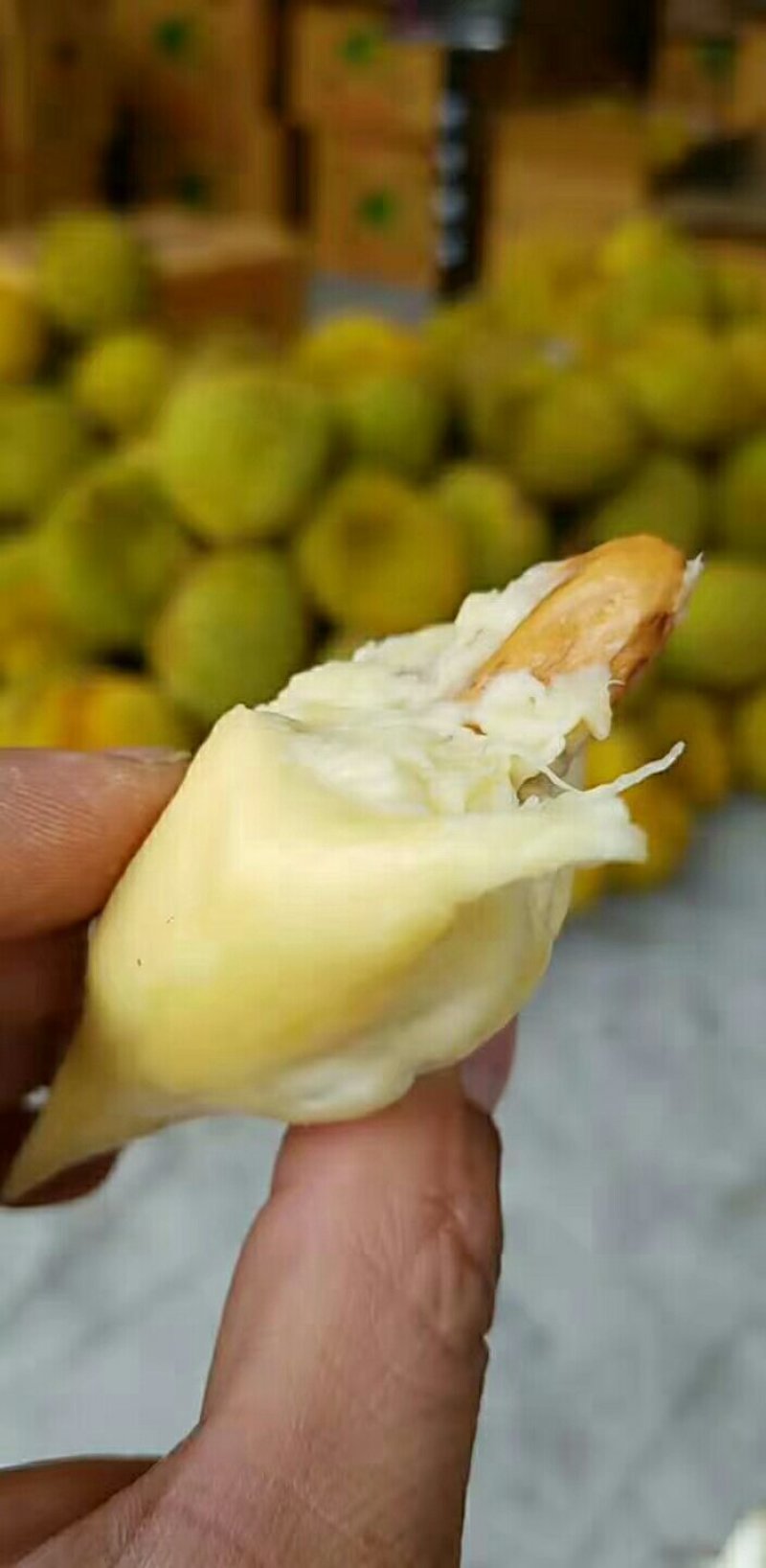 泰国金枕头榴莲，一件代发，招代理