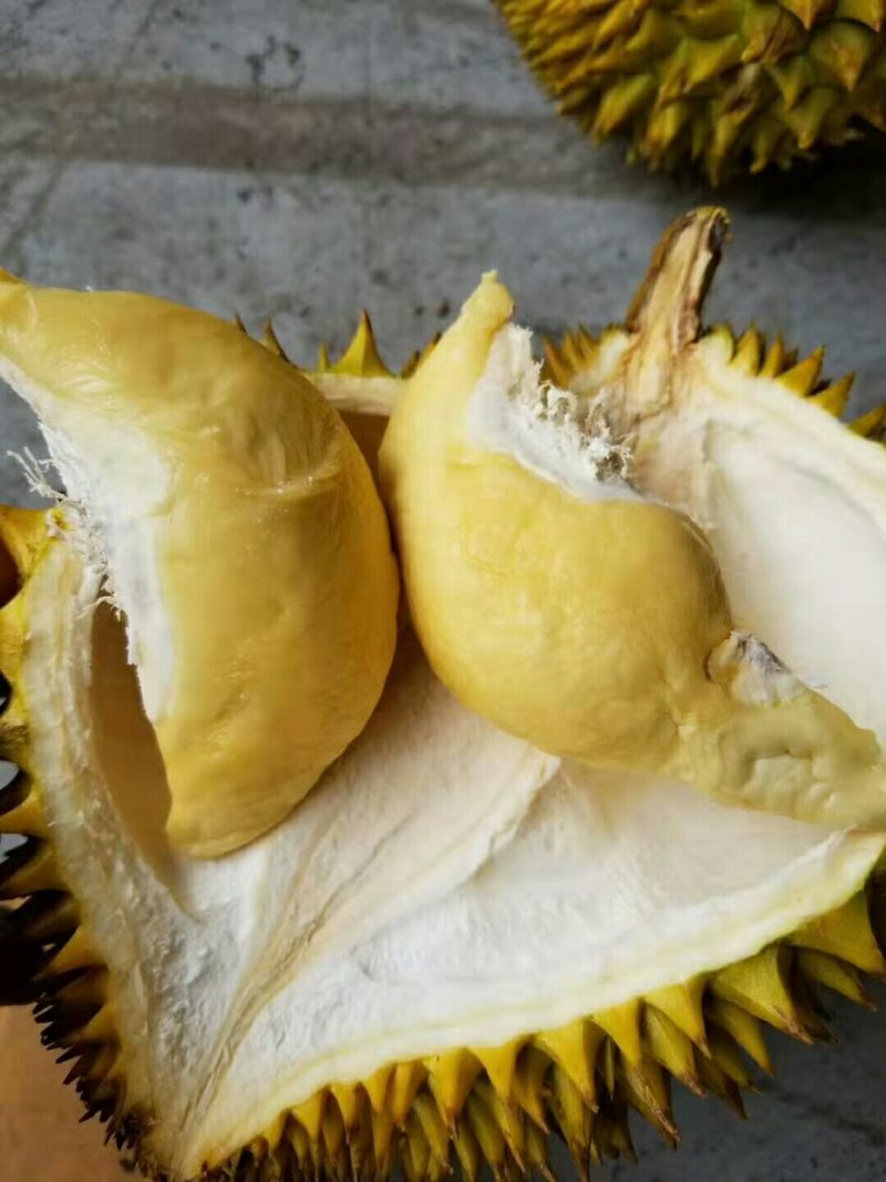 泰国金枕头榴莲，一件代发，招代理