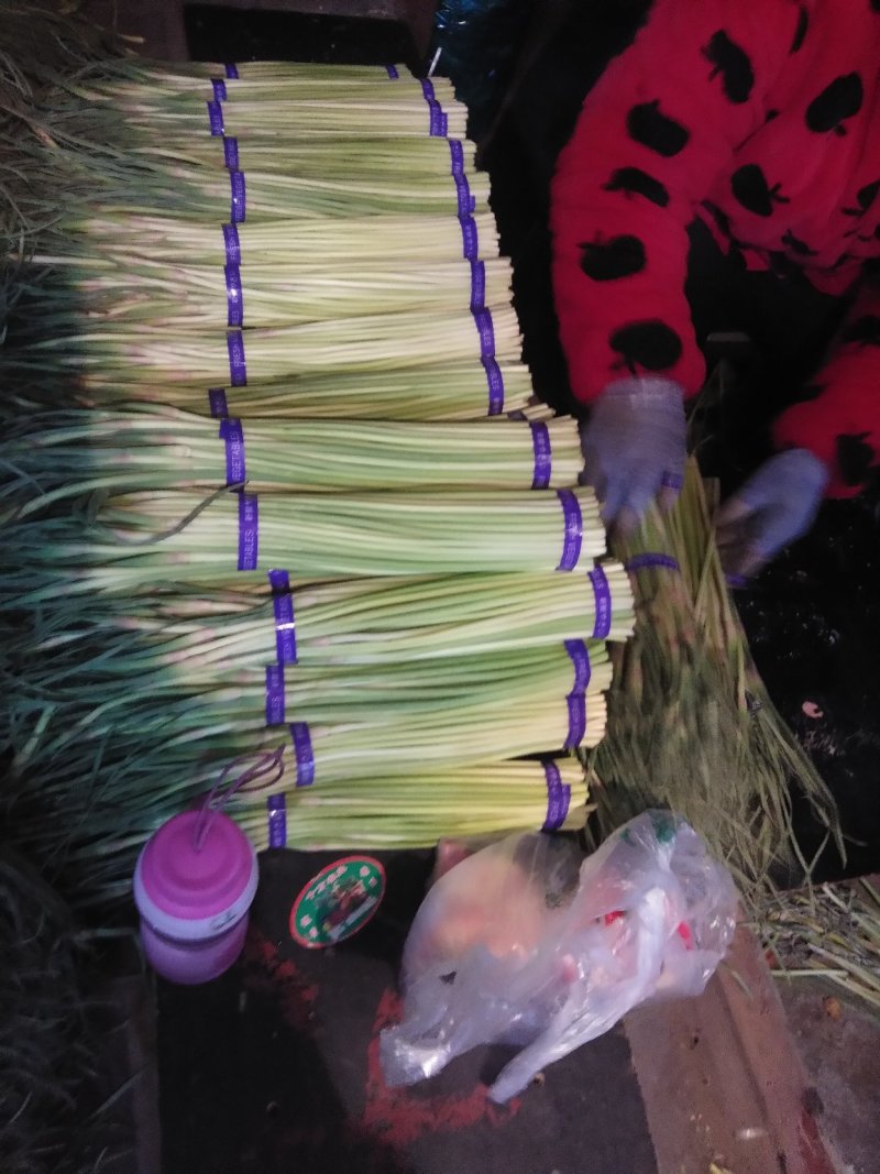 蒜薹，精品质量