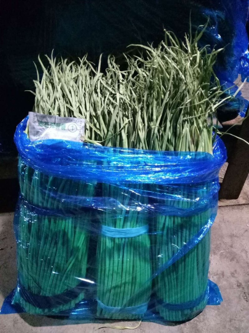 蒜薹，精品质量