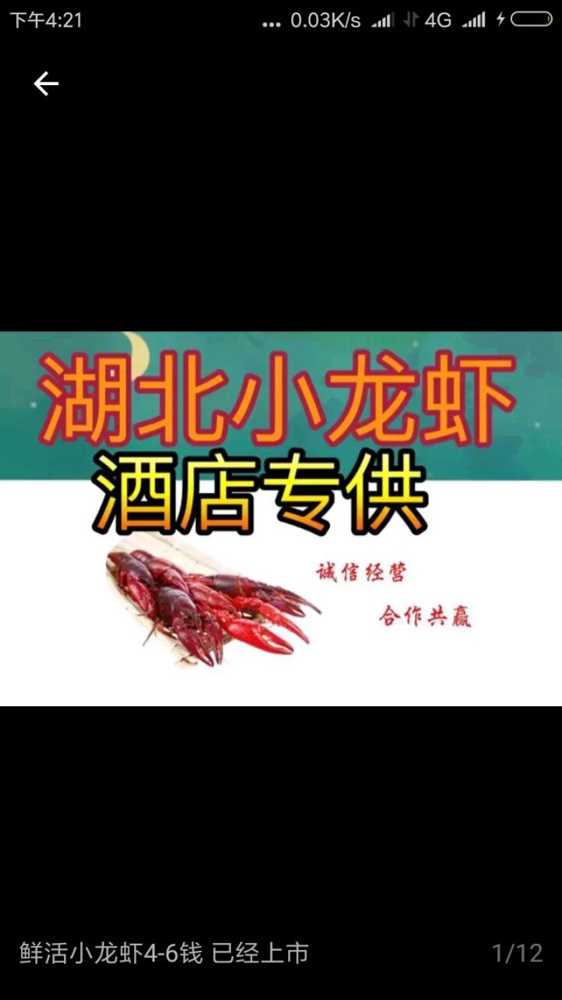 潜江小龙虾酒店专供