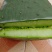 仙人掌（云南野生仙人掌，量大质优，可常年供应）
