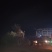 柚子树主营:柚子树.金桔树.蜜橘树.桂花树