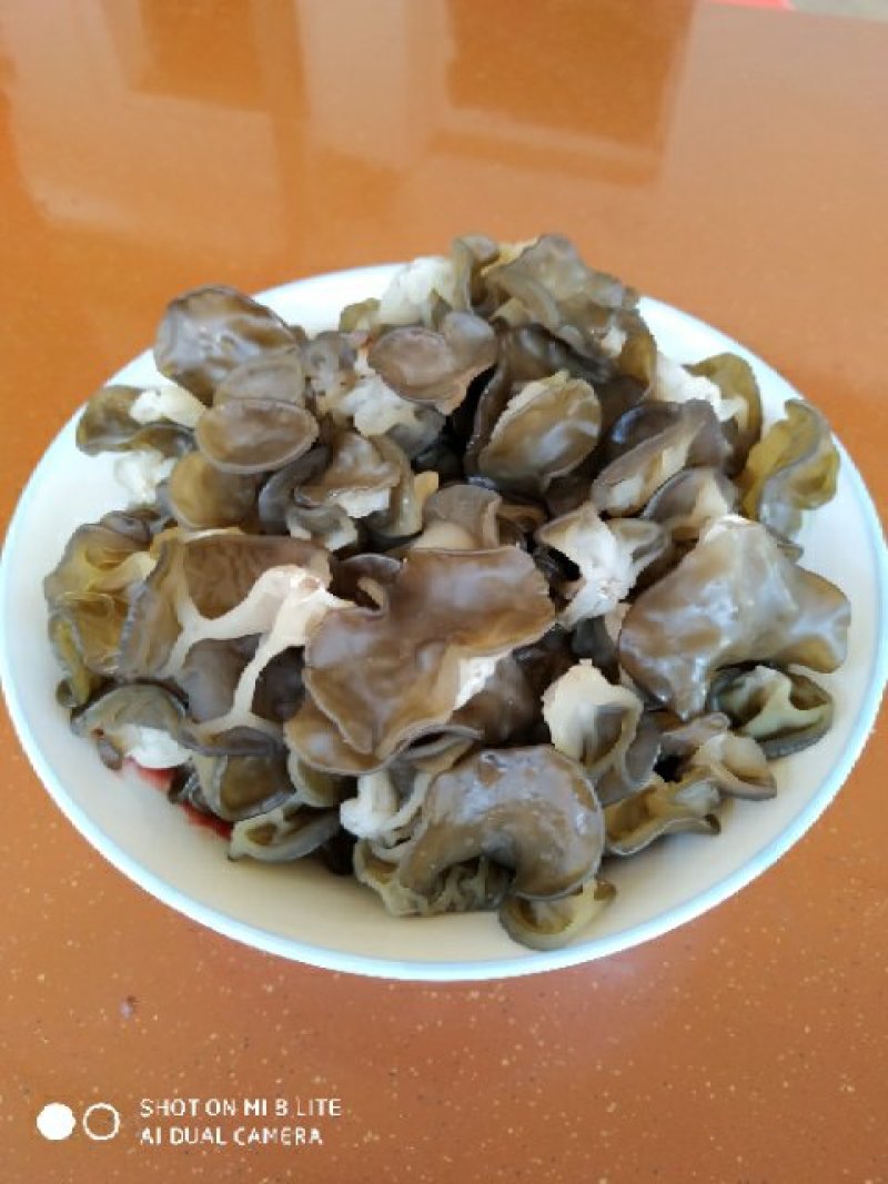 食用菌菌棒黑木耳