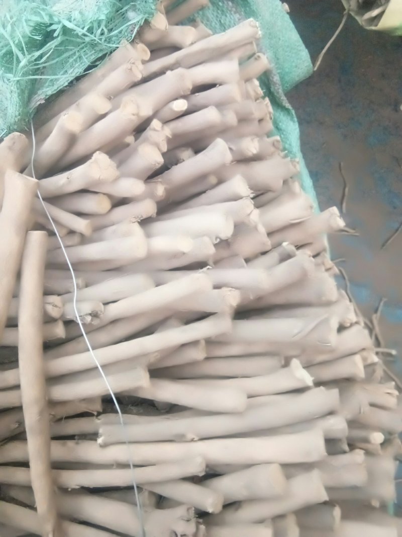 甘肃道地药材黄芪条各种规格大小精心原条